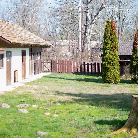 Villa Flora Kiskunmajsa Dış mekan fotoğraf