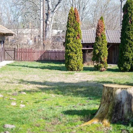 Villa Flora Kiskunmajsa Dış mekan fotoğraf