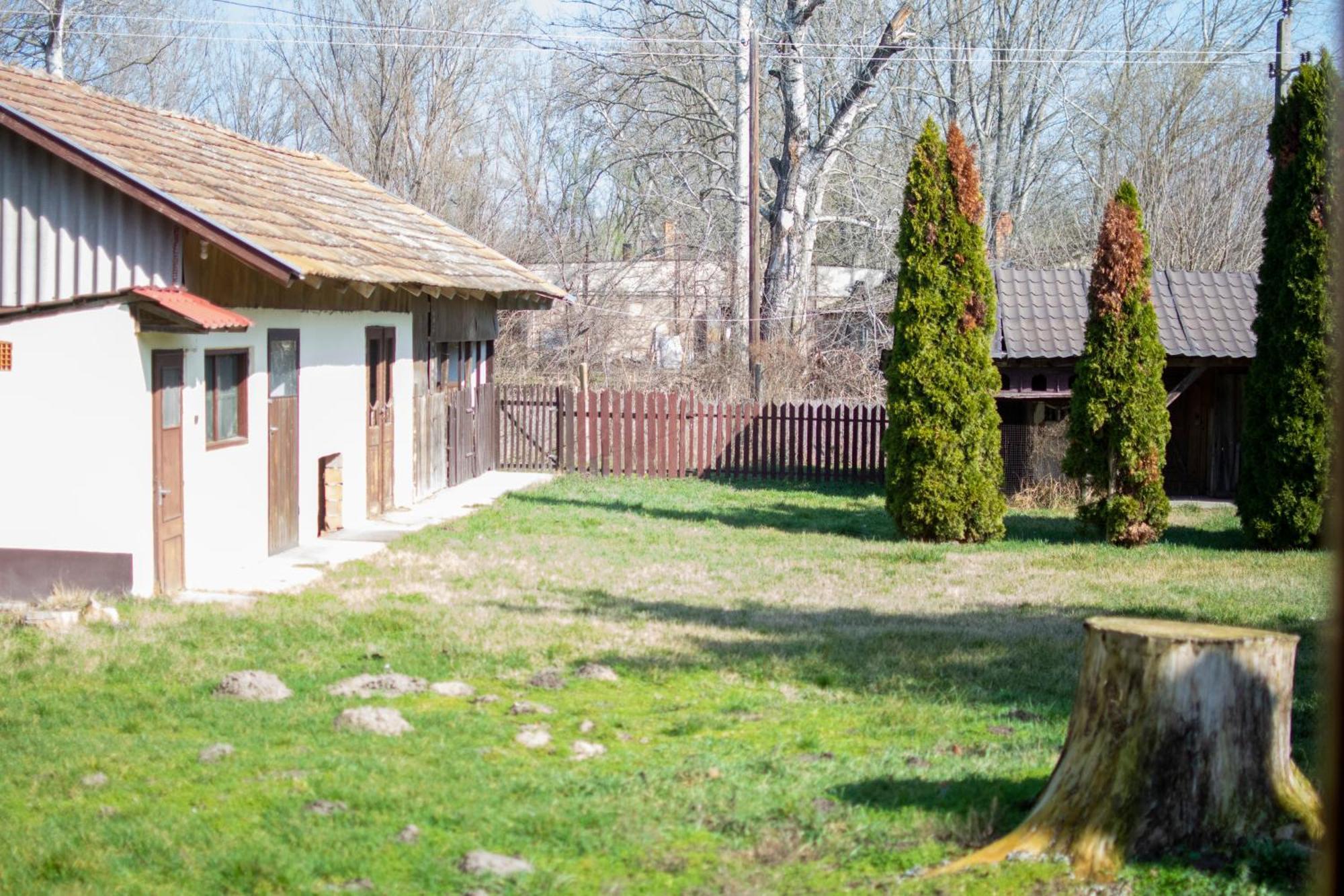 Villa Flora Kiskunmajsa Dış mekan fotoğraf