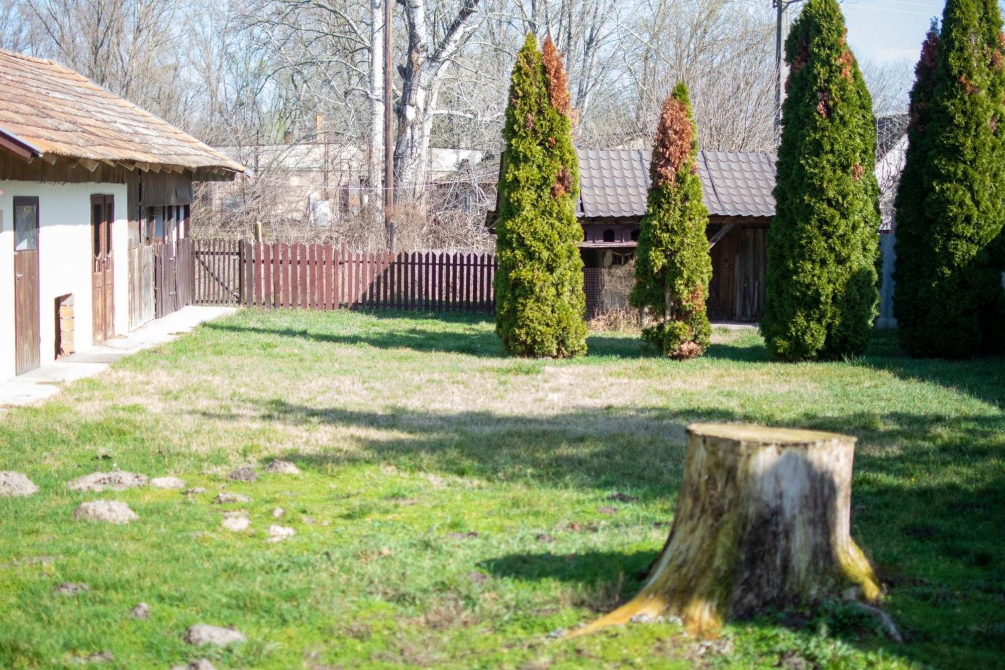 Villa Flora Kiskunmajsa Dış mekan fotoğraf